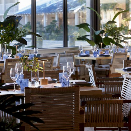 A stylish restaurant with wooden chairs, glassware, plants, and large windows letting in natural light, creating a calm dining atmosphere.