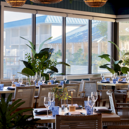 Sunlit restaurant dining room with neatly set tables, glassware, blue candles, and lush potted plants by large windows.